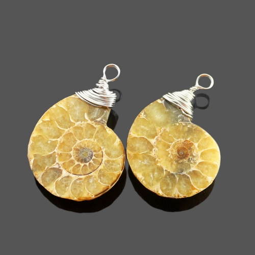 Charm Handmade Natural Conch Ammonite Silver Wrapped Pendant Shell Necklace for Women